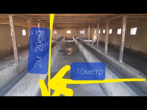 Видео: Вакти огул сохтан сар шид хатман хамехели огул тафси мекунам дустон