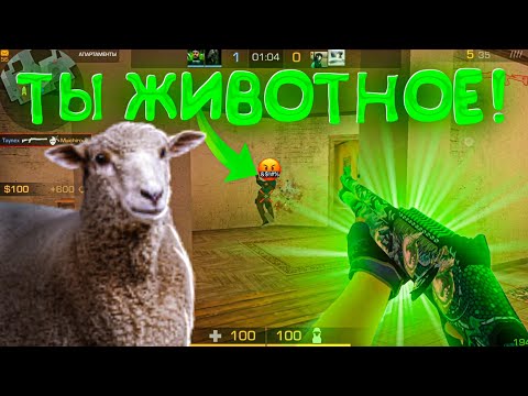 Видео: Противники пожалели о сказанном! Демка🙄