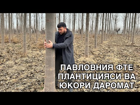 Видео: ПОВЛОВНИЯ ФТЕ ГИБРИТ 2020 йилдан 2023 йилгача НАТИЖАЛАРИ