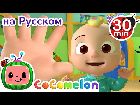 Видео: Семья пальчиков | СБОРНИК | CoComelon на русском — Детские песенки | Мультики для детей