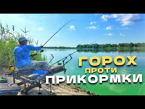 Видео: ГОРОХ проти ПРИКОРМКИ‼️ На що можна спіймати більше риби⁉️