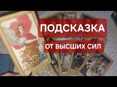 Видео: ВАЖНАЯ ИНФОРМАЦИЯ‼️ В ЧЁМ ВЫСШИЕ СИЛЫ ГОТОВЫ ВАМ ПОМОГАТЬ⁉️ 