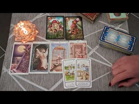 Видео: Рак Неделя с 3 по 9 ноября Таро Прогноз!!