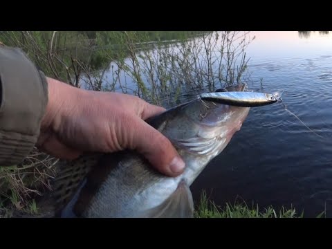 Видео: Рыбалка на Ночного Судака. Ловля Судака на Воблеры