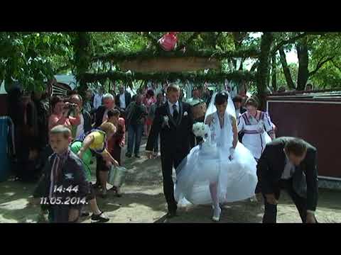 Видео: с.Кудрінці  дорогу нареченим  поливають водою