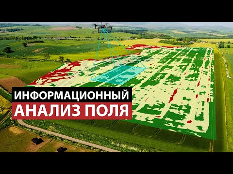 Видео: Информационный анализ поля