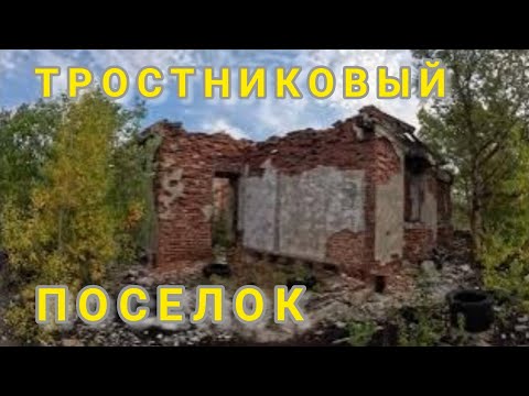 Видео: Поселок Тростниковый