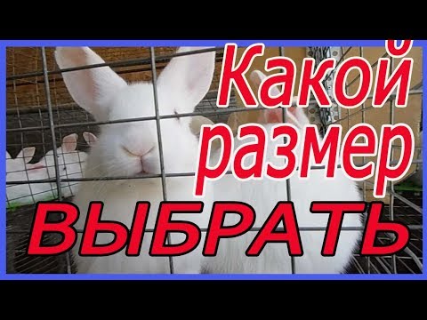 Видео: клетка для кролика из сетки / маточные/ откормочные/ для самцов.