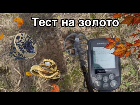 Видео: КОП и сигнал ЗОЛОТА на Nokta Makro Simplex PLUS