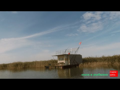 Видео: Рыбалка на базе Дом Рыбака. Дом на воде порадовал.