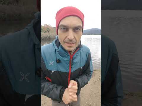Видео: Практика (290) #гимнастика #цигун