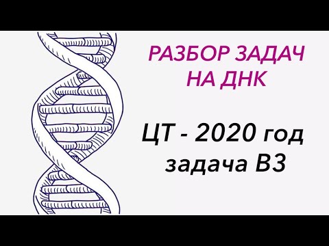 Видео: Решение задачи на длину ДНК - ЦТ, ЕГЭ, ЗНО