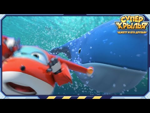 Видео: [СУПЕРКРЫЛЬЯ2] Китовое Возмущение и другие | Сезон2 Эпизод22~24 | Официальный канал Суперкрылья