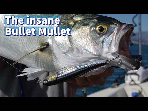 Видео: Станьте свидетелем безумия «Bullet Mullet»: безумная прогулка, которую вы должны увидеть!