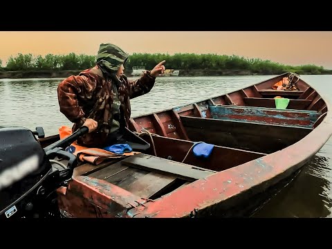 Видео: Как добывают ряпушку или маленького муксуна на Севере?  Звезда рыбака 2022