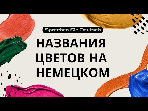 Видео: Названия цветов на немецком языке 🌸 Учим с примерами и произношением