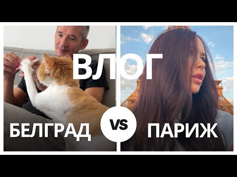 Видео: Сербия+Париж:Техасское барбекю в Белграде,стрижка котов и Привет из Парижа 🇷🇸🇫🇷