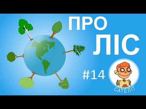 Видео: Сателіт - Про ліс