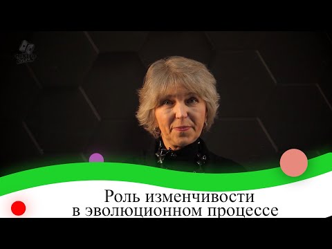Видео: Роль изменчивости в эволюционном процессе ( мутационная, комбинативная). 9 класс.