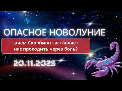 Видео: Что вскроет новолуние в скорпионе 20 ноября?