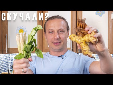 Видео: Вы о таком супе никогда не слышали. Я вернулся и привез вам Том Сааб.