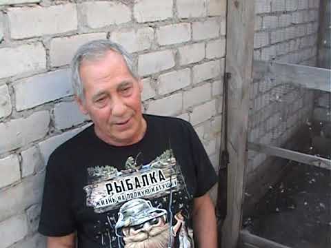 Видео: Фильм  91.ч.1Карбивнычый  Д.И. Голубевод  история Разговоры  за  Кир. без  круж. голубей.