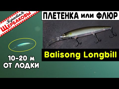 Видео: Balisong Minnow Longbill 130SF. ПЛЕТЁНКА или ФЛЮР? Сравниваем игру на 10 и 20 м. Underwater