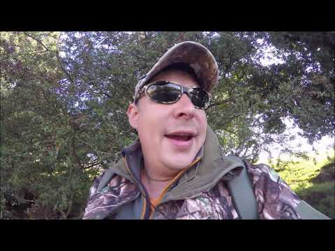 Видео: Ловля дикой форели в Англии / Wild Trout Fishing