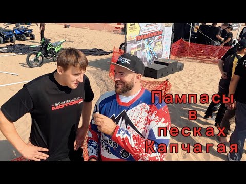 Видео: Пампасы в песках Капчагая 2025
