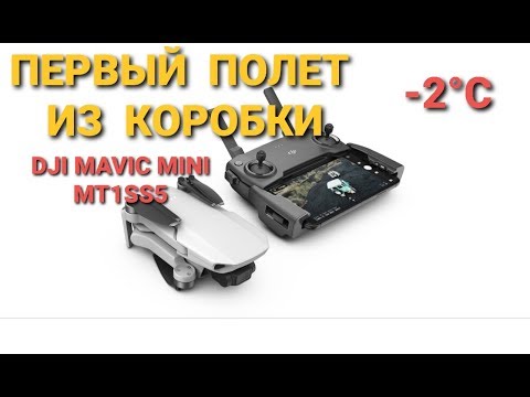 Видео: DJI MAVIC Mini | Первый полёт из коробки, модель MT1SS5.