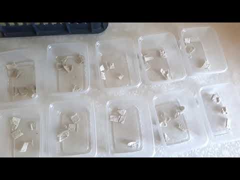 Видео: упаковка червя на продажу и отчет об эксперименте