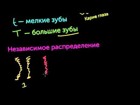 Видео: Развлечение с решёткой Пеннетта (видео 3) | Классическая генетика | Биология