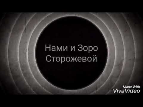 Видео: Нами и Зоро. Сторожевой