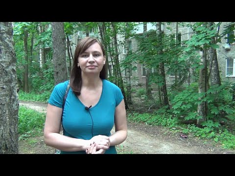 Видео: Как мы выбирали город в Подмосковье на пмж влог Серия 2