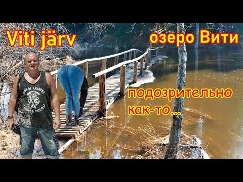 Видео: 471. Прогулка по южной Эстонии, часть 18. Тропа озера Viti, природный блудняк по душным зарослям. 4К
