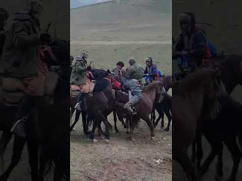 Видео: Бузкаши  кули  Суфиён давра  ба  номи  Самаридин  човандоз.қисмӣ 2
