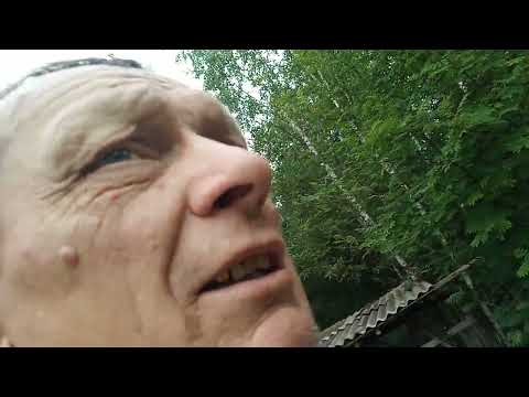 Видео: А не рано ли пчёлки начали выгонять трута ?