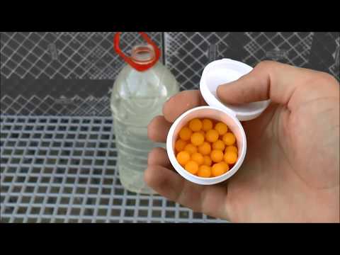 Видео: Витамины для Птиц / После них ГОЛУБИ чувствуют себя Великолепно