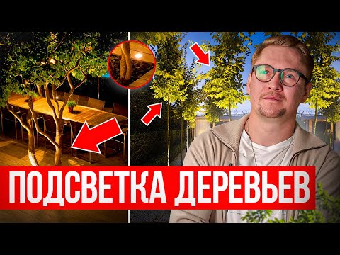 Видео: Декоративная ПОДСВЕТКА ДЕРЕВЬЕВ на участке. Светильники для ландшафта | Ландшафтное освещение