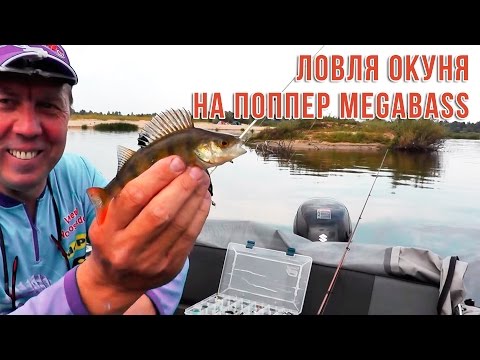 Видео: Ловля окуня на поппер Megabass