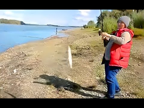 Видео: Щука и судак на кукурузу? Мои трофеи. Рыбалка  с ночевкой 2 дня. в палатке. Часть 2