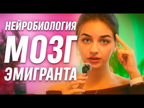 Видео: Как мозг помогает адаптироваться после переезда. Мой опыт жизни в Германии и немного нейробиологии