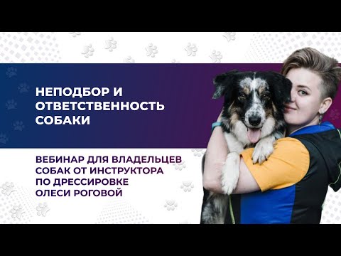 Видео: “НЕПОДБОР И ОТВЕТСТВЕННОСТЬ СОБАКИ”. Вебинар №5 из серии эфиров.