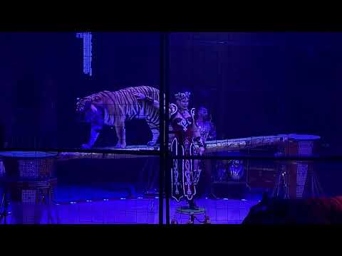 Видео: Королевский цирк Гии Эрадзе в Пермском цирке 2 Акт