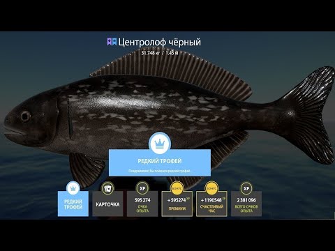 Видео: 📢СТРИМ РР4🔥НА МОРСКОМ МОРЕ ЛОВЛЮ ТРОФЕЙНЫХ ЦЕНТРОЛОФОВ🔥РУССКАЯ РЫБАЛКА 4