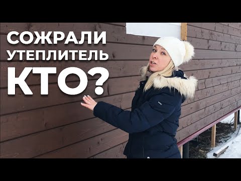 Видео: Зимовка каркасной бани I Наши косяки I Сожрали утеплитель