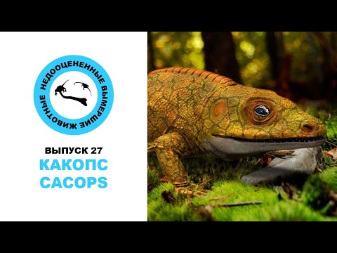 Видео: Недооцененные Вымершие Животные. Выпуск 27: Какопс (Cacops)