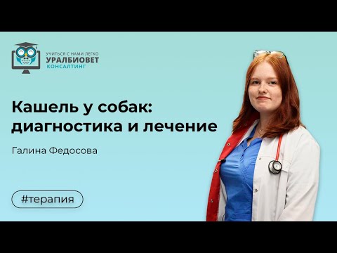 Видео: Кашель у собак  диагностика и лечение, лектор Галина Федосова