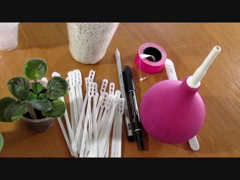 Видео: Расчитываем примерные затраты на фиалочную коллекцию.