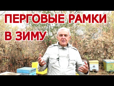 Видео: Нужно-ли оставлять перговые рамки в зиму?